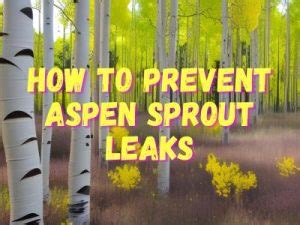 Free aspen sprout (8) Porn Videos